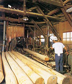 ���ލH��ʐ^